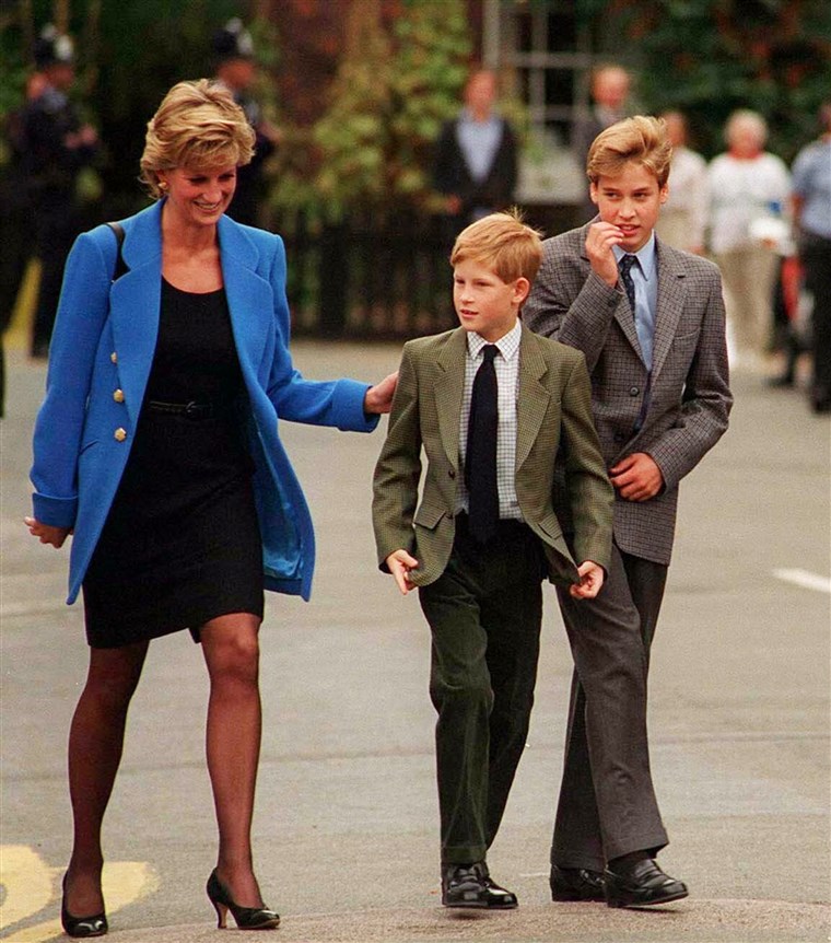 王子 William with Princess Diana and brother Prince Harry