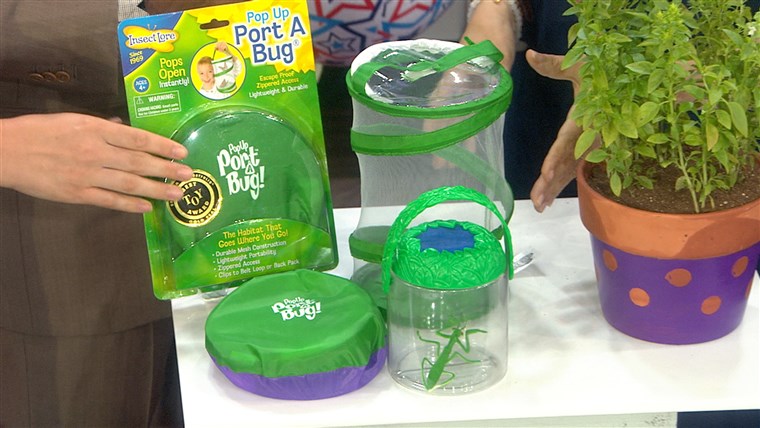 ザ Insect Lore Pop-Up Port-a-Bug is a cool, inexpensive gift for nature-loving kids. Just be sure to let the bugs go! 