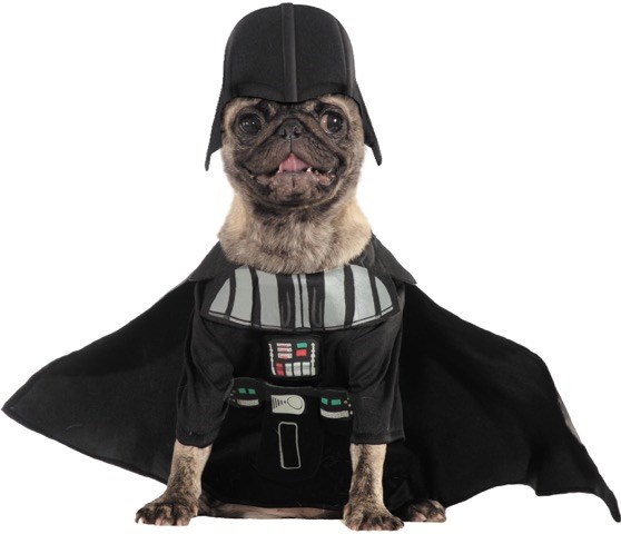 문자 from Star Wars: The Force Awakens are popular pet costumes