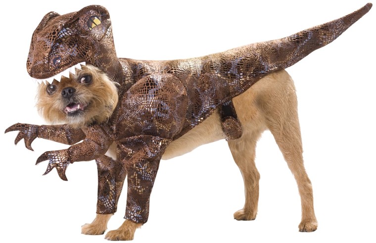 개 can blend into Jurassic World with these dinosaur halloween pet costumes