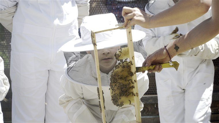 与える Bees A Chance hopes to raise funds for children to learn about bee hives.