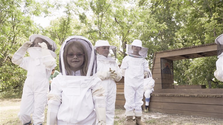 全体 Foods and Whole Kids Foundation aim to put bee hives in 50 schools to educate children about the bees.