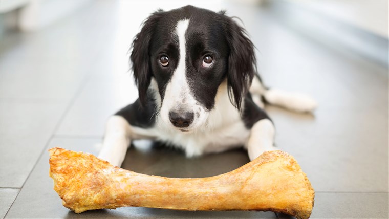 Beberapa bone treats could kill your dog