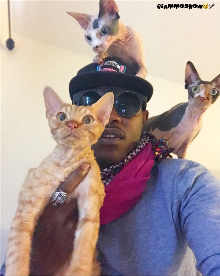 볼티모어 rapper iAmMoshow loves cats