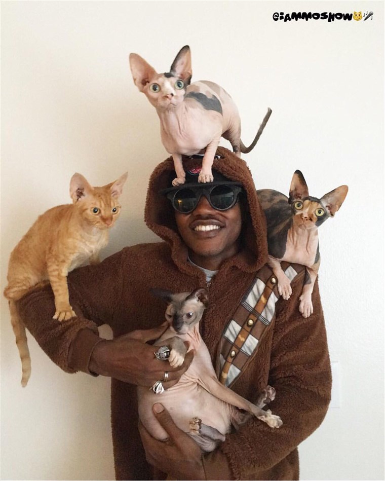 볼티모어 rapper iAmMoshow loves cats