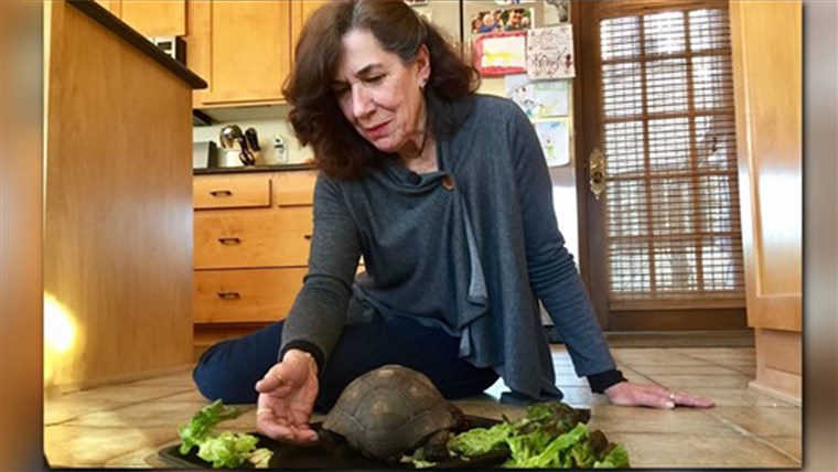제나 Smith feeds pet turtle