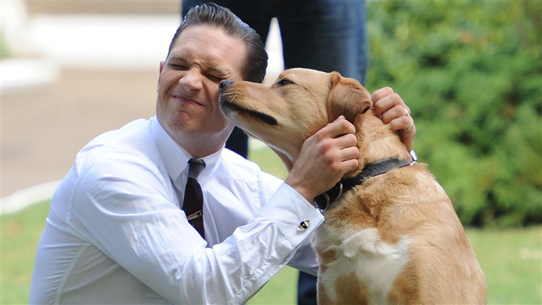 トム ハーディーは愛する犬を手紙で触れて嘆いている これまで最高の友まで