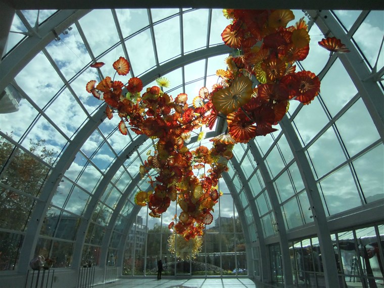 Scultura inside of Chihuly Garden and Glass in Seattle, Washington