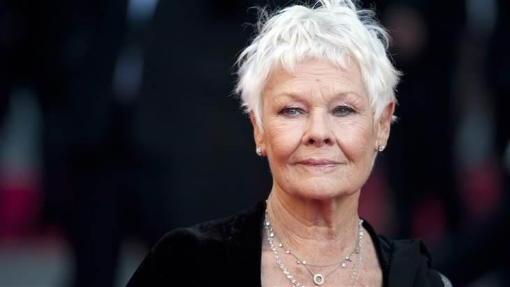dama Judi Dench, 80, is glamorous in gray.