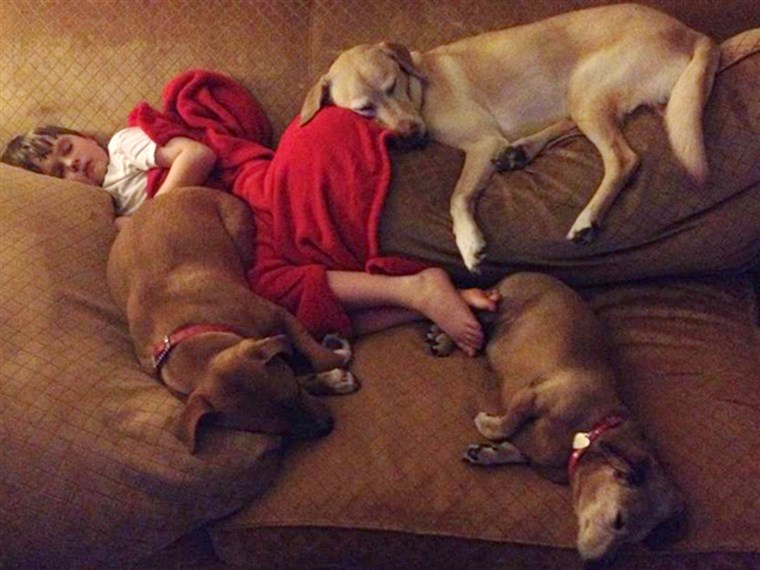 Gambar: Jonny Hickey takes a nap with his family's three dogs